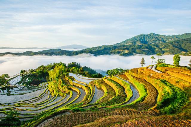 锦绣河山遍地画指什么生肖呢|电信讲解解释释义