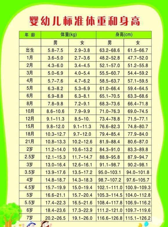 6个月宝宝身高体重